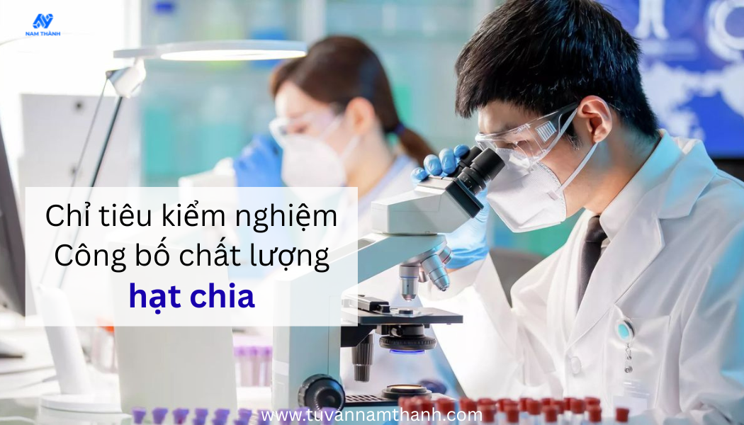 Công bố chất lượng hạt chia – Kiểm nghiệm, hồ sơ trọn gói