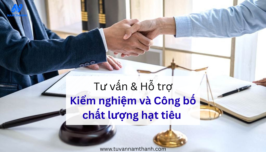 Công bố chất lượng hạt tiêu 2026: Hướng dẫn thực hiện A–Z
