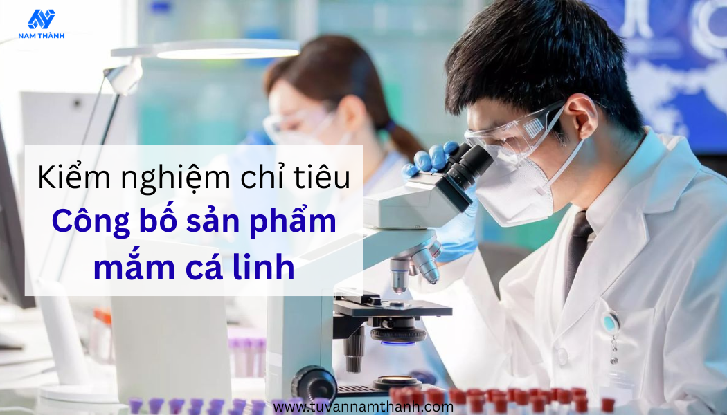 Hướng dẫn công bố sản phẩm mắm cá linh chi tiết 2026
