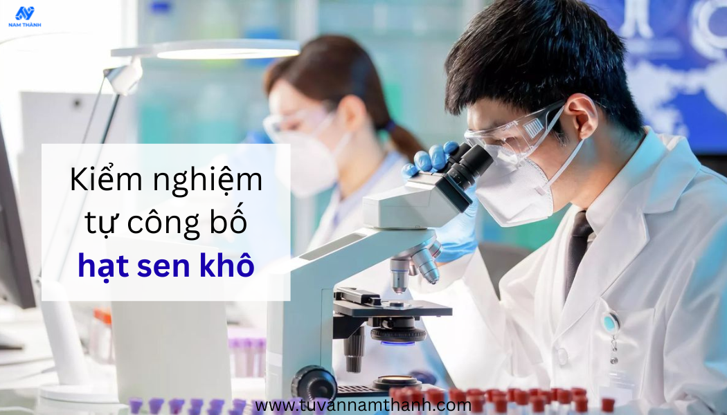 Hướng dẫn tự công bố hạt sen khô chi tiết, đúng quy định