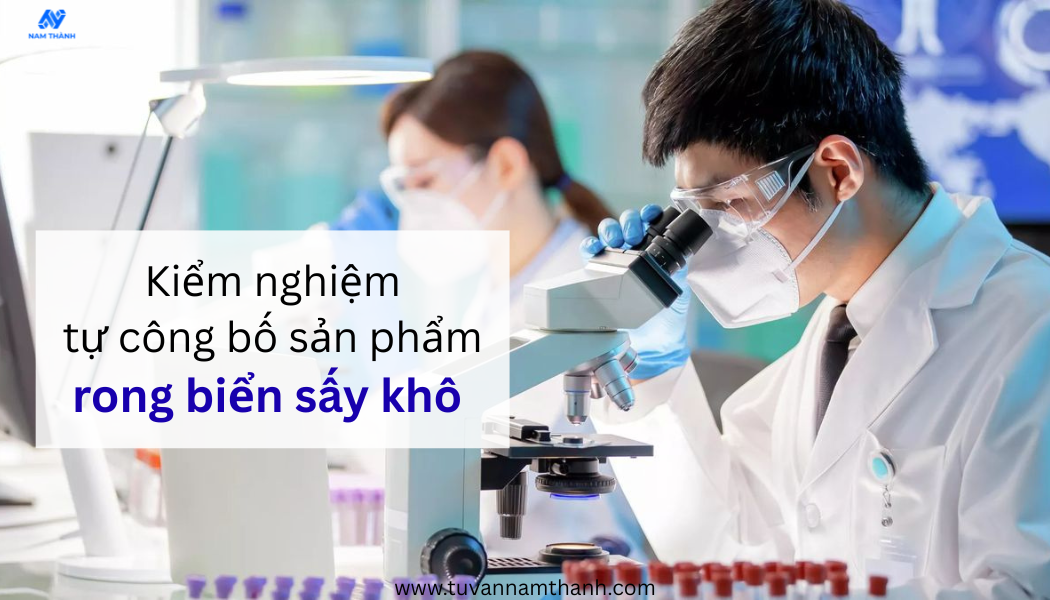 Hướng dẫn tự công bố sản phẩm rong biển sấy khô chi tiết 2026